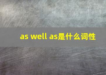 as well as是什么词性